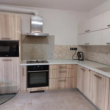 V Centre Mesta S Terasou A Zahradou Appartement *